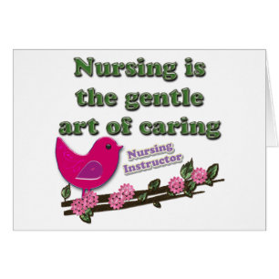 Instructeur de soins