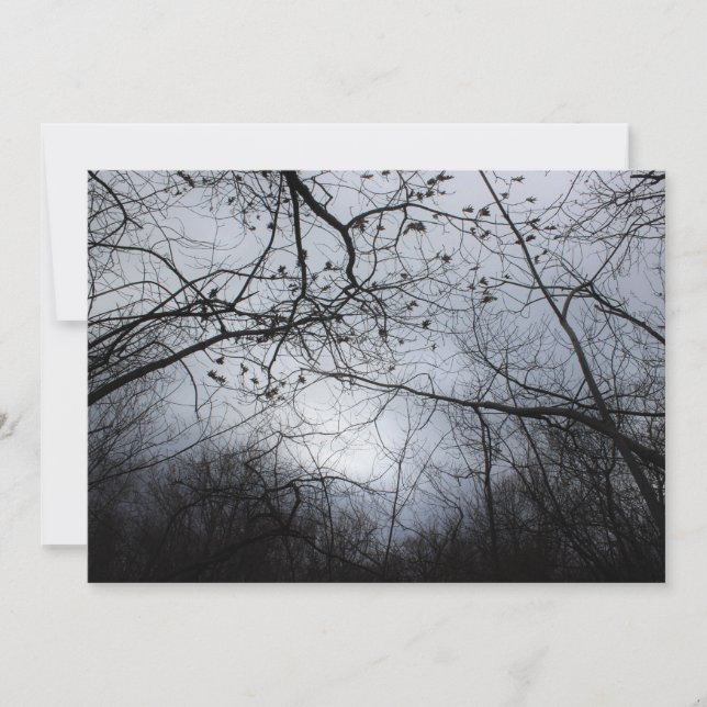 Interconnecté (Devant)