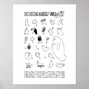Interesting Manatees Poster