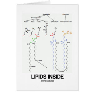 Intérieur de lipides (molécules chimiques)