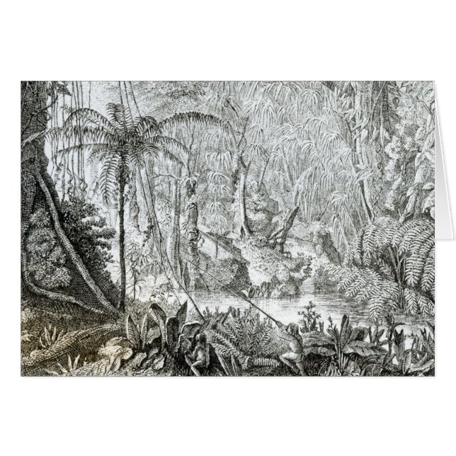 Intérieur d'une forêt primitive dans les Amazone (Devant horizontal)