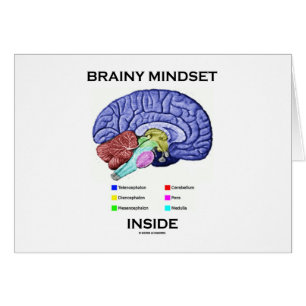 Intérieur intelligent de mentalité (cerveau