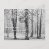 Into the Forest I Go - Carte postale