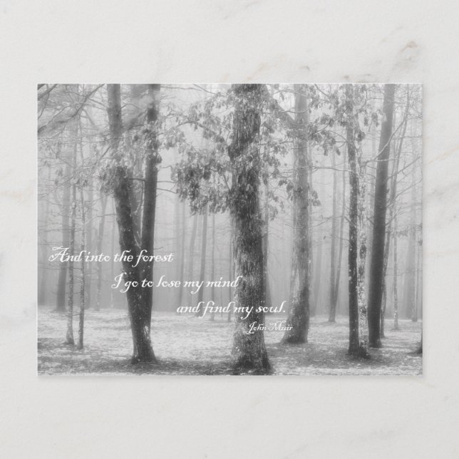 Into the Forest I Go - Carte postale (Devant)