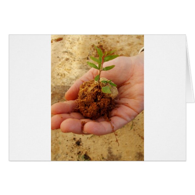 Investir pour la croissance (Devant horizontal)