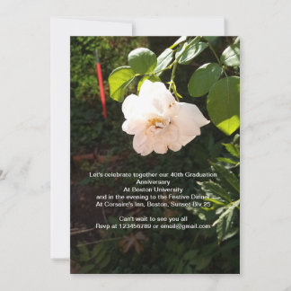 Invitation