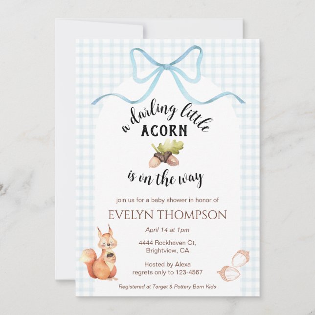 Invitation 001 Sky Squirrel Acorn Gingham Bow Baby Shower (Devant)