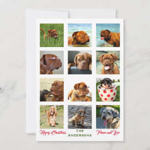 Invitation 12 Image incroyable Famille de Noël Collage