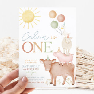 Invitation 1er Anniversaire Animaux de ferme Barnyard Party B