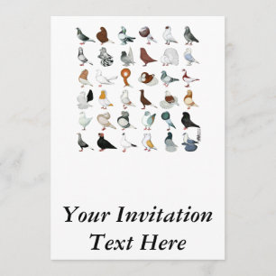 Invitation 36 races de pigeon