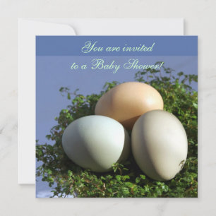 Invitation 3 oeufs