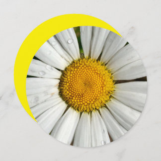 Invitation 5,25 x 5,25 Cercle d'invitation