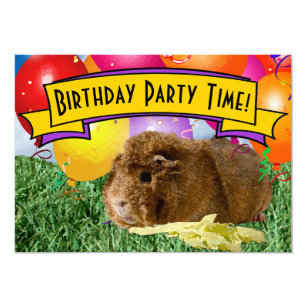 Invitations Faire Part Cartes Anniversaire Cobaye Zazzle Fr Invitations Faire Part Cartes Anniversaire Cobaye Zazzle Fr