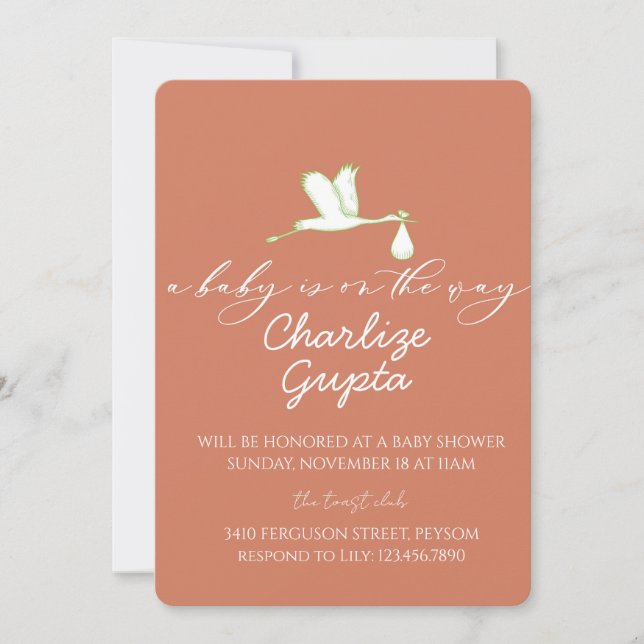 Invitation A Baby Is on the Way Baby Shower  (Devant)