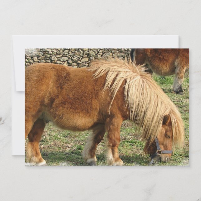 Invitation à Cheval de châtaignier (Devant)