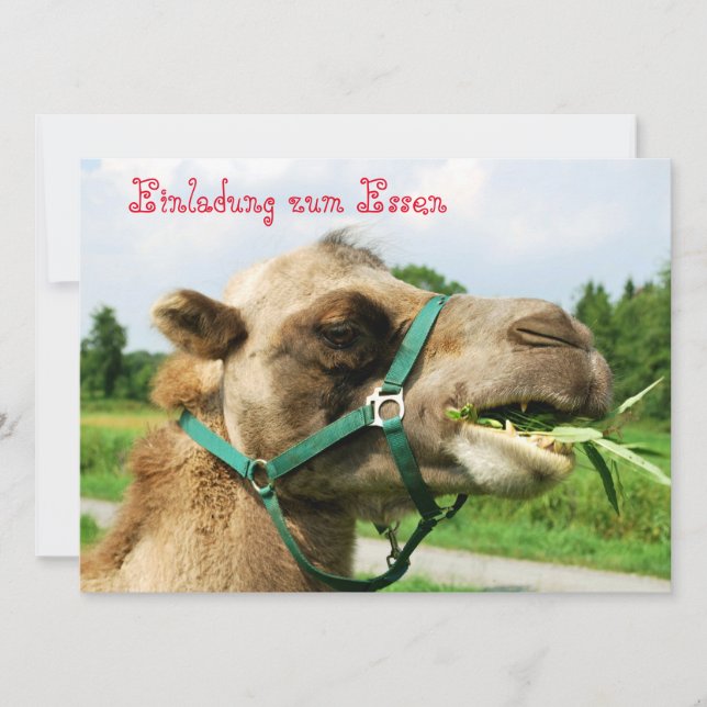 Invitation à dîner (Devant)