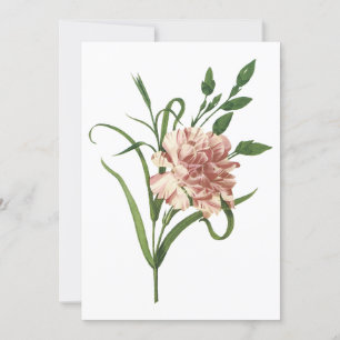 Invitation à la carnation