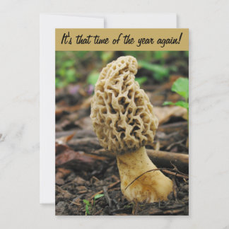 Invitation à la chasse aux champignons Morel