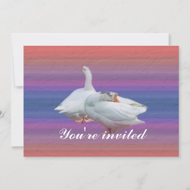 invitation à la fête (Devant)