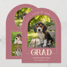 Invitation à la fête de fin d'études de chien Phot