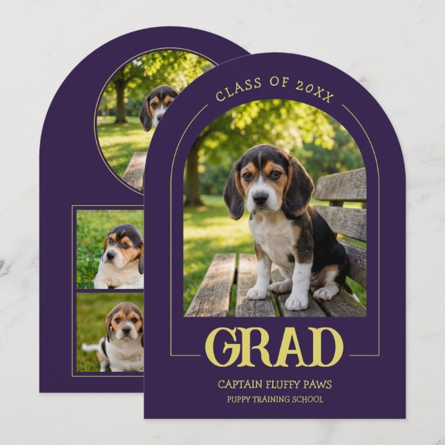 Invitation à la fête de fin d'études des chiens -  (Devant / Derrière)