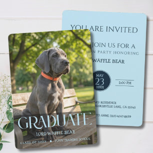 Invitation à la fête de fin d'études du chien Phot