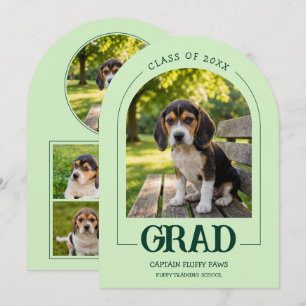 Invitation à la fête de fin d'études du chien Phot