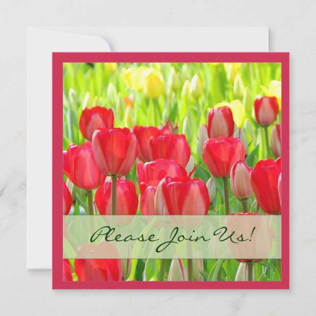 Invitation à la fête des Tulipes rouges (Devant)