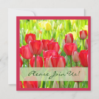 Invitation à la fête des Tulipes rouges