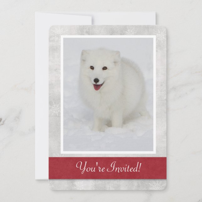 Invitation à la fête d'hiver de la Fox arctique (Devant)