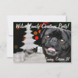 Invitation à la fête du Carlin Noir de Noël