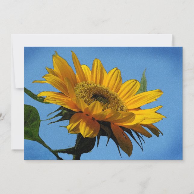 Invitation à la fête du Solstice d'été (Devant)