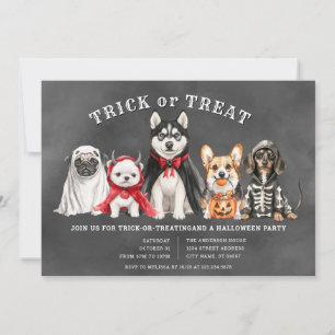 Invitation à la fête Halloween Trick or Treat pour