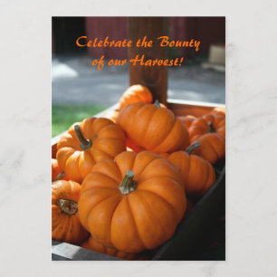 Invitation à la récolte - mini-citrouilles