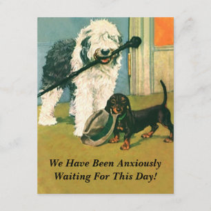 INVITATION À LA RETRAITE Animaux de compagnie Chie