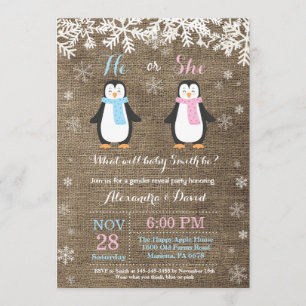 Invitation à la révélation du genre chez l'ours de