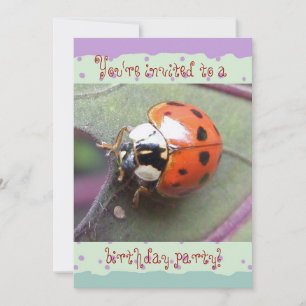 Invitation à l'anniversaire de Ladybug