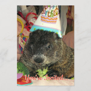 Invitation à l'anniversaire du marmotte de terre