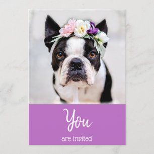 *~* Invitation à l'événement avec un adorable Boul