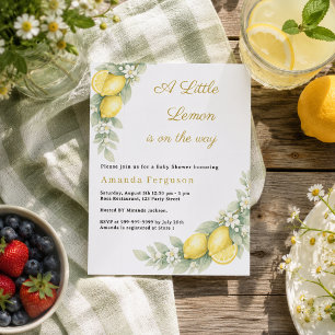 Invitation à une baby shower de jardin d'été au ci