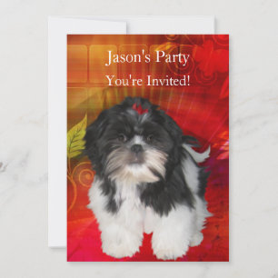 Invitation à une fête d'anniversaire de Shih Tzu s