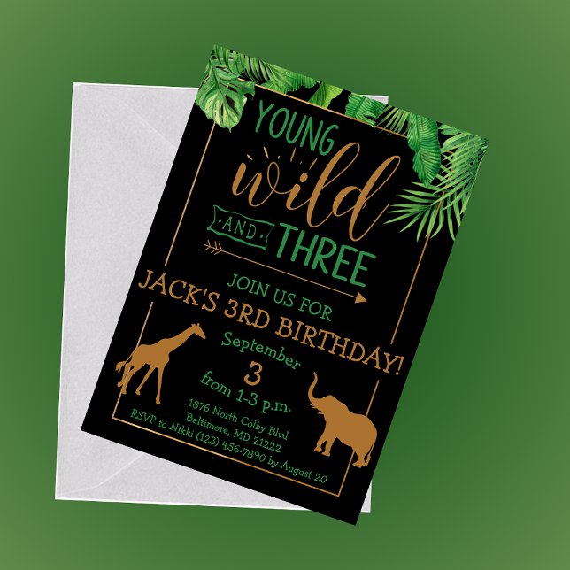 Invitation à une fête d'anniversaire de Young, Wil (Créateur téléchargé)