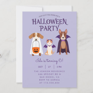 Invitation à une fête d'Halloween Chien Chat Chauv