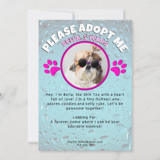 Invitation Adopt me dog custom 2 photo shelter animal rescue
