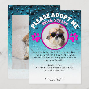 Invitation Adoptez mon chien personnalisé 2 photo refuge anim