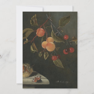 Invitation Adriaen Coorte - Vie morte avec un papillon, Apri