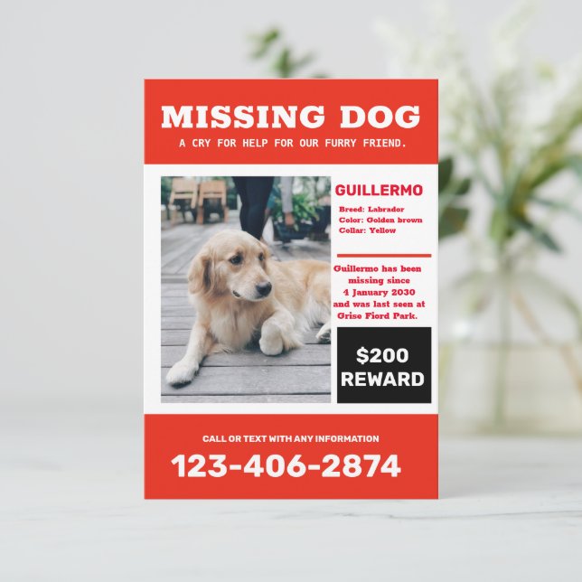 Invitation Affiche de publicité avec photo de chien disparu (Debout devant)