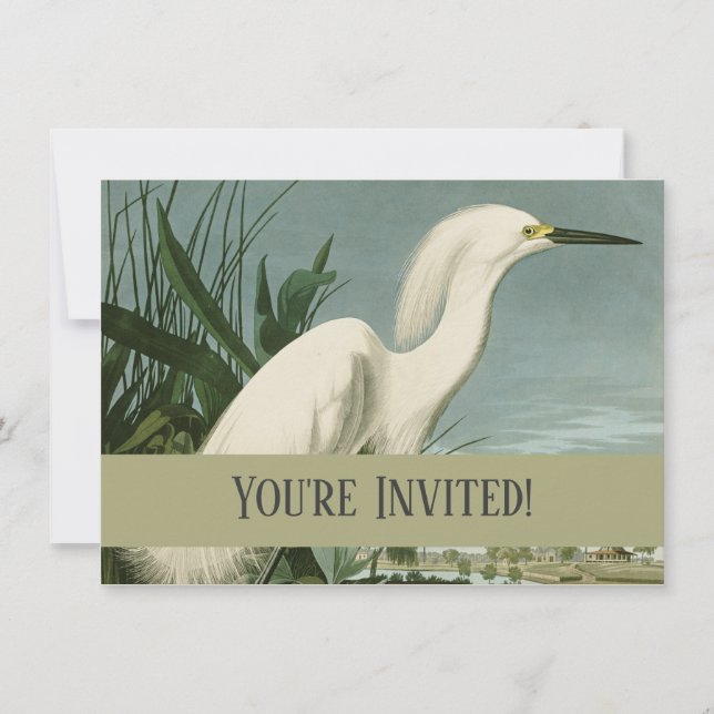 Invitation Aigrette neigeuse d'Audubon oiseau Héron blanc orn (Devant)