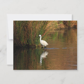 Invitation Aiguille de chasse