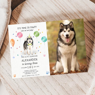 Invitation Alaskien Malamute Pawty Puppy Anniversaire rose Ph